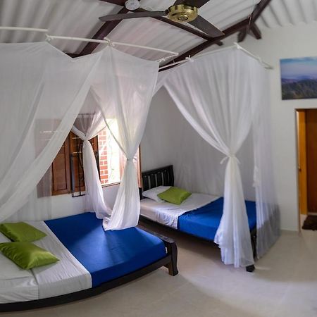 Hostal Coco Bomgo Minca Eksteriør bilde