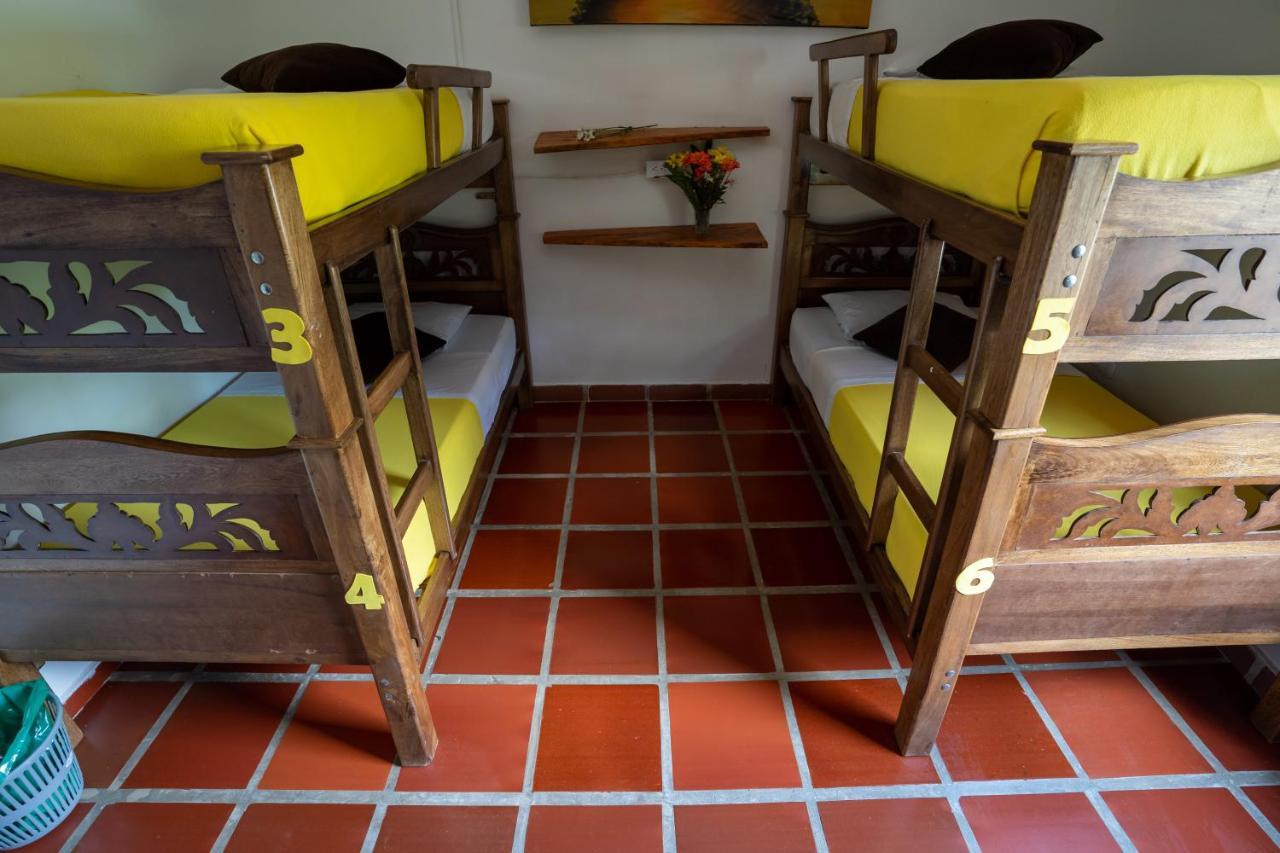 Hostal Coco Bomgo Minca Eksteriør bilde